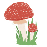 An illustration of two toadstool mushrooms surrounded by some grass